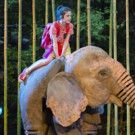 Animal Adventures at the Belgrade Theatre this February Half-Term