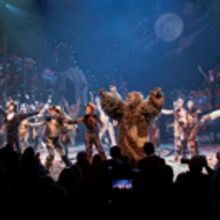 Photo Coverage: A Very Jellicle Opening Night- CATS Takes First Bows!