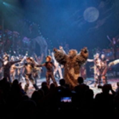 Photo Coverage: A Very Jellicle Opening Night- CATS Takes First Bows!