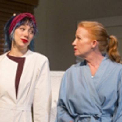 BWW REVIEW: Holzman's CHOICE Receives World Premiere at Boston's Huntington Theatre