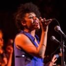 Photo Flash: Corey Cott, Ariana DeBose, Lena Hall and More in BROADWAY SINGS BRUNO…