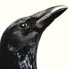 EDINBURGH 2016: BWW Q&A - Darktales