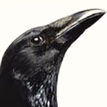 EDINBURGH 2016: BWW Q&A - Darktales
