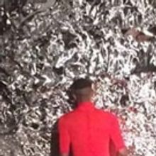 BWW Review: Back to Afro-Futurism