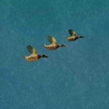 Casting Announced for YOU'RE HUMAN LIKE THE REST OF THEM