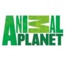 Animal Planet's THE LAST ALASKANS Hits Series High
