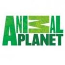 Animal Planet's THE LAST ALASKANS Hits Series High
