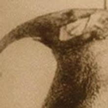 David Castro's MAN'S DOMINION to Open 1/23 at Studio C Artists