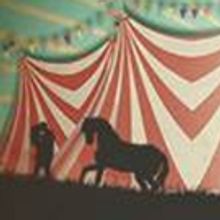 Travel Through Time with CIRCUS FLORA 6/1-25