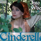 BWW Preview: INTO THE WOODS at Mac-Haydn Theatre