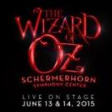 On The Road to Oz With MEGAN MURPHY CHAMBERS