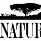 Rarely Seen Animal Behavior Captured in SPY IN THE WILD, a NATURE Miniseries Coming to PBS