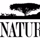 Rarely Seen Animal Behavior Captured in SPY IN THE WILD, a NATURE Miniseries Coming…
