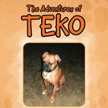 'The Adventures of Teko' is Released