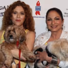 Photo Coverage: It's Puppy Love- Go Inside 18th Annual Broadway Barks!