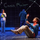Broadway's 'CURIOUS INCIDENT' Launches Digital Lottery Today