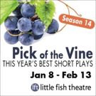 PICK OF THE VINE Opens Tonight at Little Fish Theatre