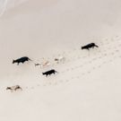 ClampArt Presents ZACK SECKLER: SOUTH AFRICA