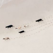 ClampArt Presents ZACK SECKLER: SOUTH AFRICA