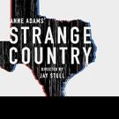 American Drama STRANGE COUNTRY Continues Through August at Access Theater