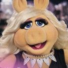 Miss Piggy Launches Advice Column, Talks How to Make it on Broadway