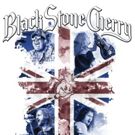 Black Stone Cherry Caps Off 2015 with Success of Live DVD/CD THANK YOU: LIVIN' LIVE