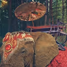Initial Artist Lineup Revealed For Each Weekend of Electric Forest