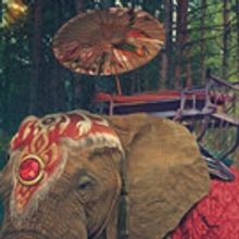  Initial Artist Lineup Revealed For Each Weekend of Electric Forest