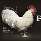 Samuel Goldwyn Films & CMT Will Hatch Competitive Documentary CHICKEN PEOPLE