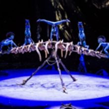 BWW Review: Cirque du Soleil Creates a Wondrous World in TORUK - THE FIRST FLIGHT