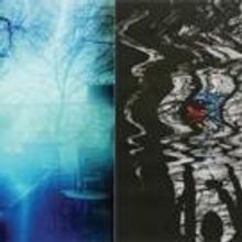 The Miles Nadal Jewish Community Centre Opens Latest Art Exhibition, SHMITA/SEVEN…