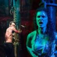 SEAWIFE Extends Through July 26 at the South Street Seaport Museum