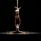 Dallas Black Dance Theatre Presents Four New York Premieres Today