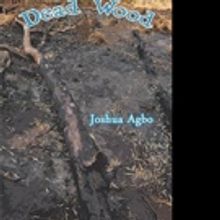 Joshua Agbo Announces New Dramatic African Play, DEAD WOOD