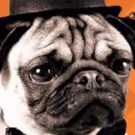 Sound Theatre Company Concludes 10th Anniversary Season with ONE MAN, TWO GUVNORS