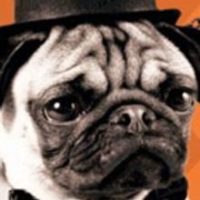 Sound Theatre Company Concludes 10th Anniversary Season with ONE MAN, TWO GUVNORS