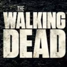 WALKING DEAD & FEAR THE WALKING DEAD Comic Con Trailers Rack Up 25 Million Views