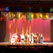BWW Blog: DSOA's SHREK: THE MUSICAL by Justin Rubenstein and Megan Rosenblum