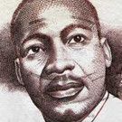 Steering Committee Plans 33rd Annual Dr. Martin Luther King, Jr. Celebration