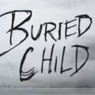 DVR Alert: BURIED CHILD's Ed Harris to Visit NBC's 'Today', 2/26