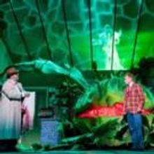 Photo Flash: Einblicke in den KLEINEN HORRORLADEN in Bonn