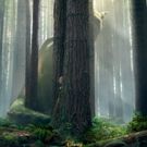 First Look - Disney Reveals New Poster Art for PETE'S DRAGON