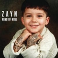 FIRST LISTEN: ZAYN Previews New Song 'Like I Would' from Upcoming Solo Album Video
