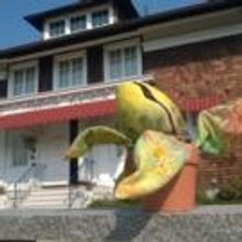 LITTLE SHOP OF HORRORS Opens 9/23 at Ivoryton Playhouse