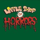 Miners Alley Playhouse to Stage LITTLE SHOP OF HORRORS This Summer