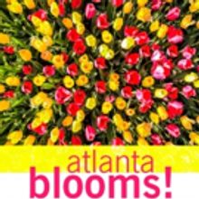 ATLANTA BLOOMS Explodes This Spring at the Atlanta Botanical Garden