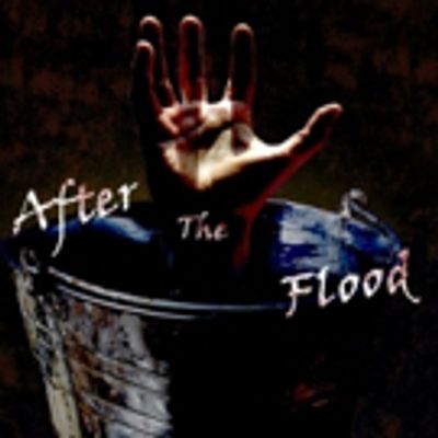 EDINBURGH 2016 - BWW Review: AFTER THE FLOOD, Sweet Grassmarket, 10 August