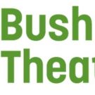 PINK MIST to Open at Bush Theatre in 2016