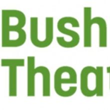PINK MIST to Open at Bush Theatre in 2016