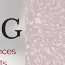 FIGRAISING Fundraiser for UCT Drama's Fourth-year Theatre-making Studio Production, F